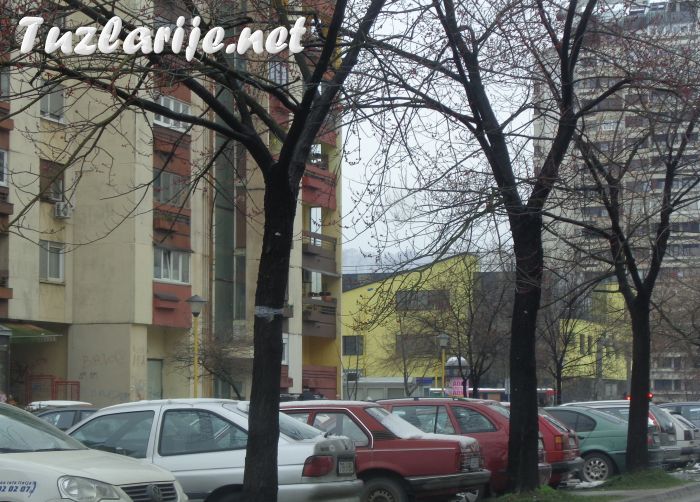Tuzlarije