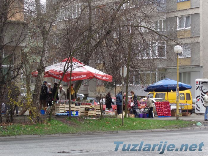 Tuzlarije