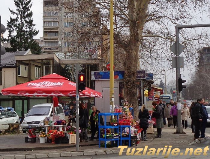 Tuzlarije