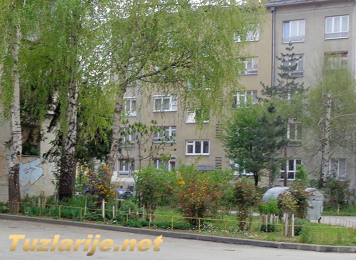 Tuzlarije