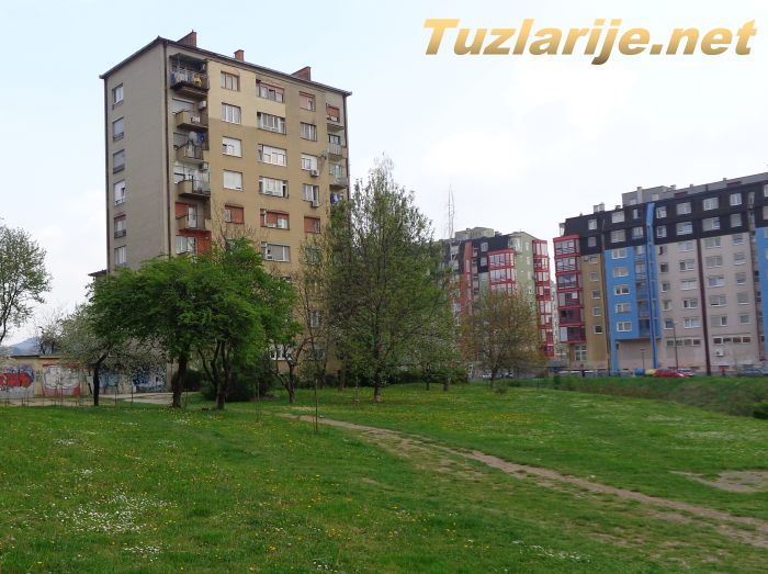 Tuzlarije