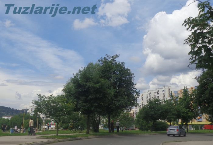 Tuzlarije