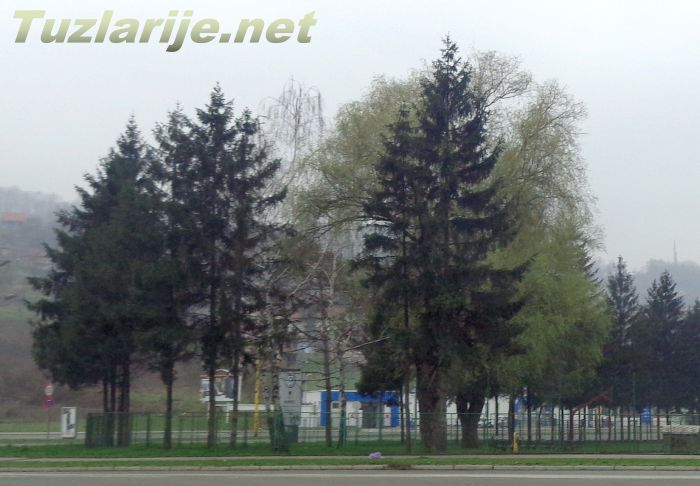 Tuzlarije