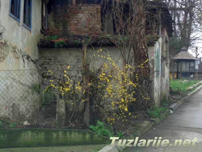 Tuzlarije