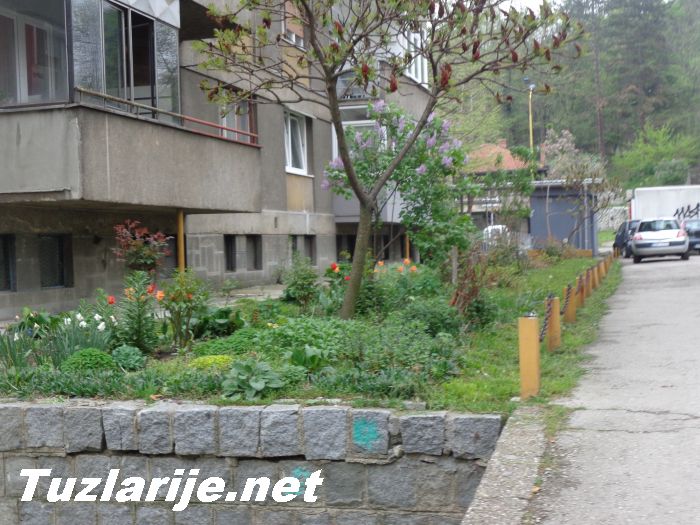 Tuzlarije