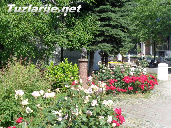 Tuzlarije