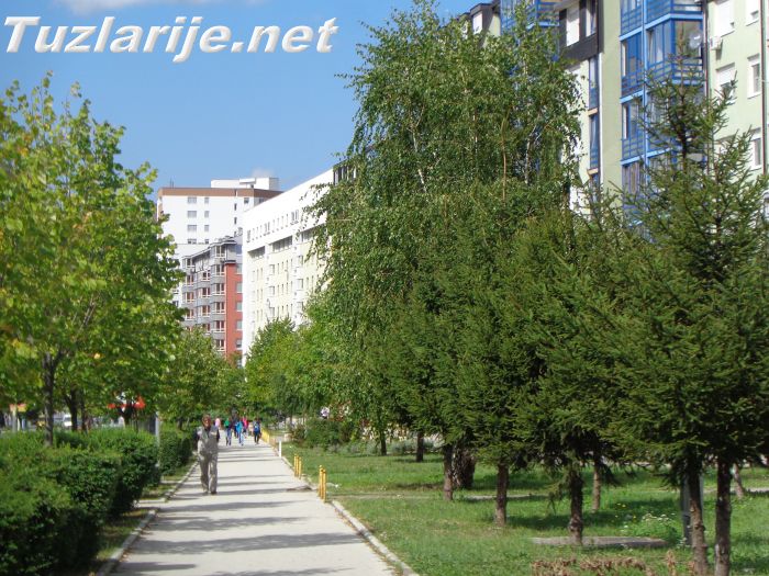 Tuzlarije