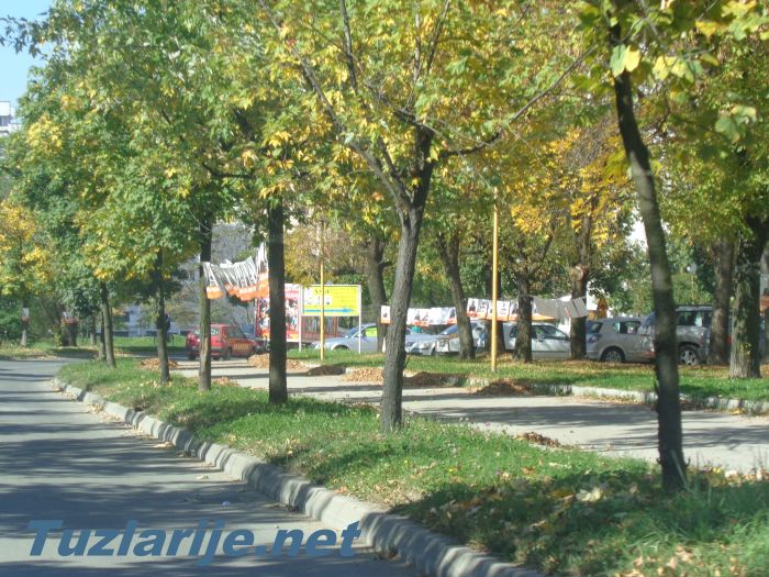 Tuzlarije