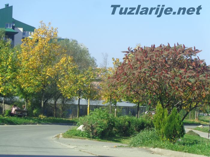 Tuzlarije