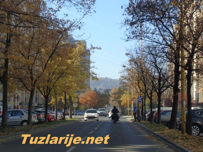 Tuzlarije