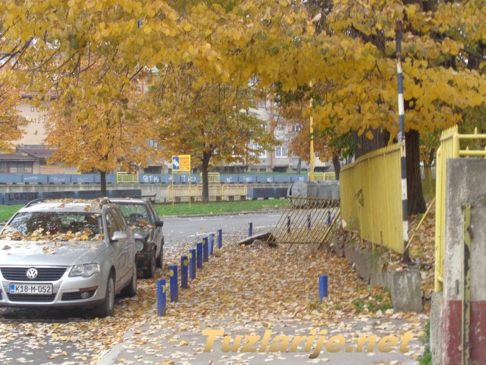 Tuzlarije