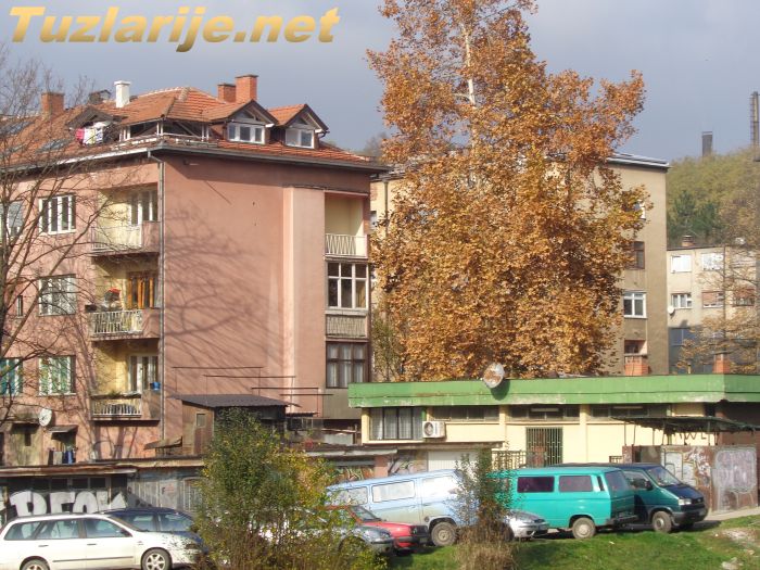 Tuzlarije