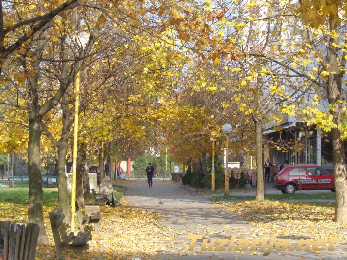 Tuzlarije