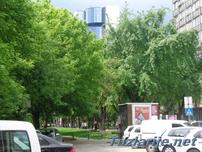 Tuzlarije