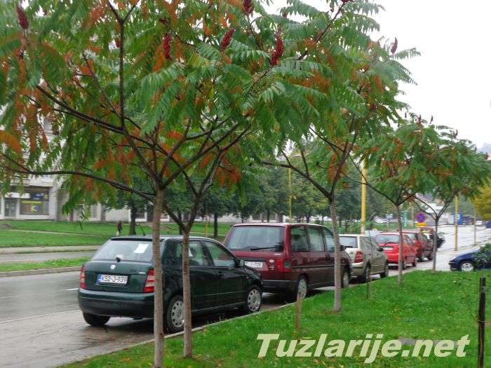 Tuzlarije