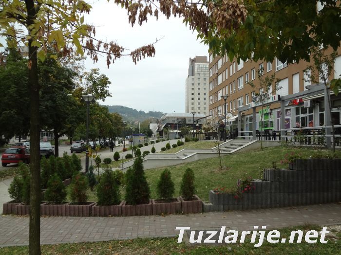 Tuzlarije