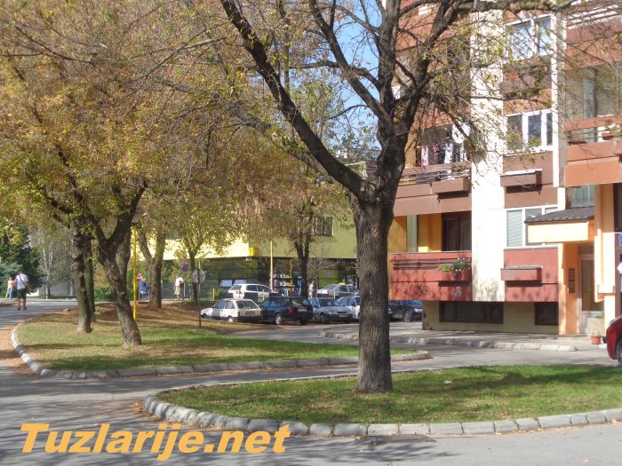 Tuzlarije