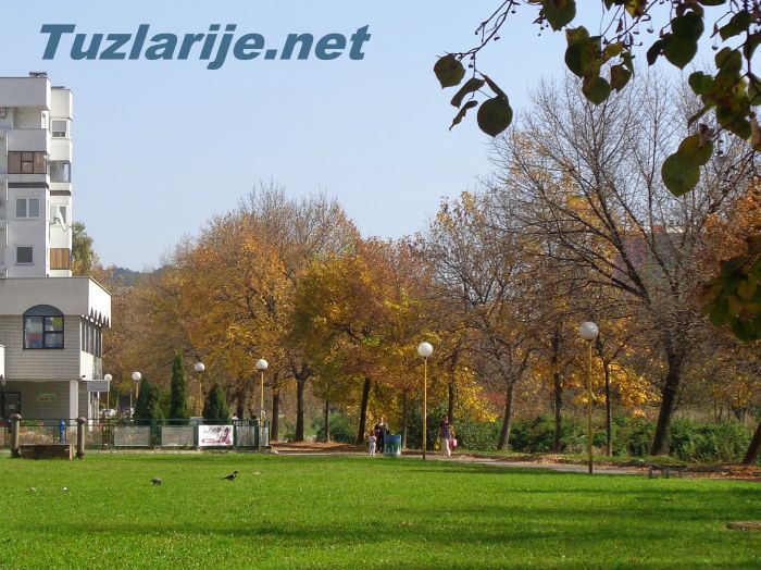 Tuzlarije