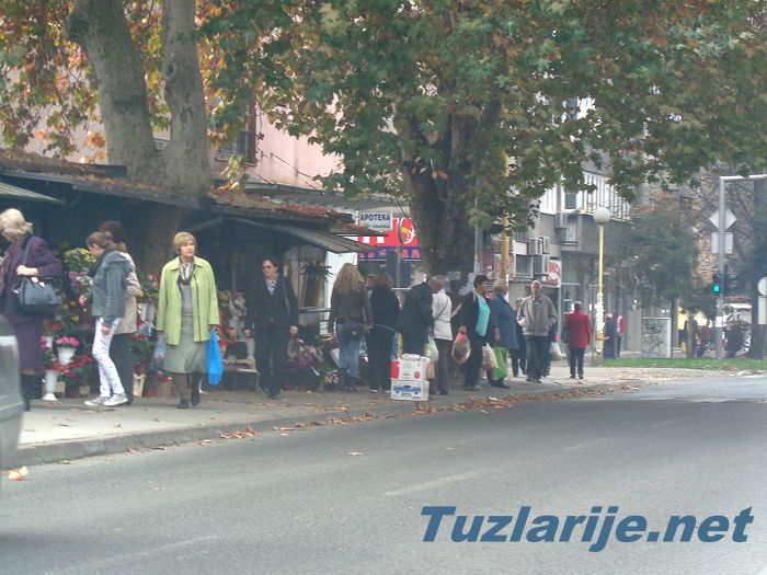 Tuzlarije