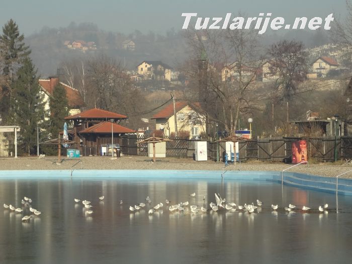 Tuzlarije