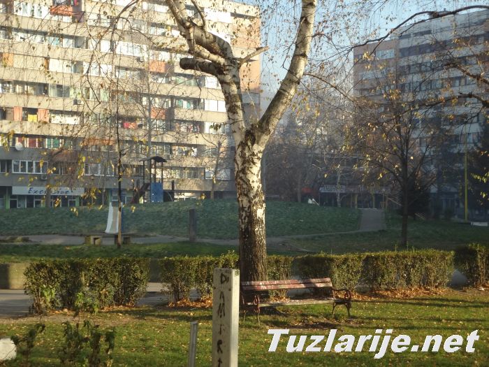 Tuzlarije