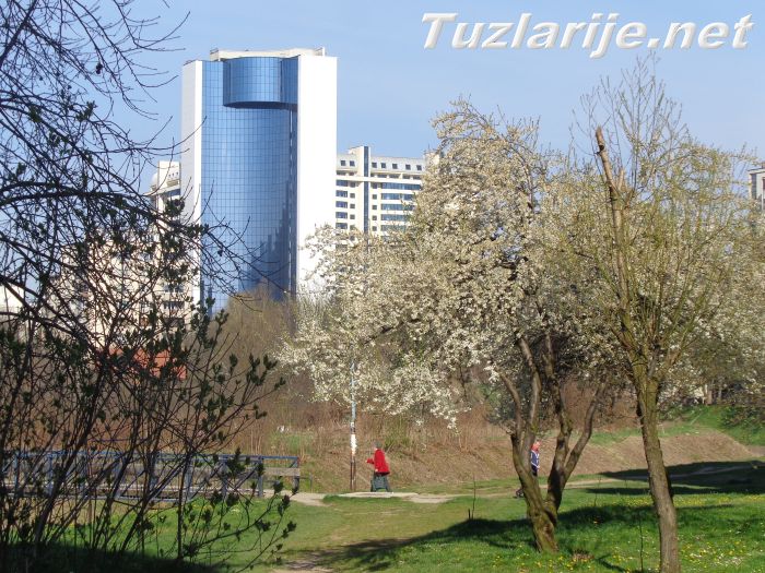Tuzlarije