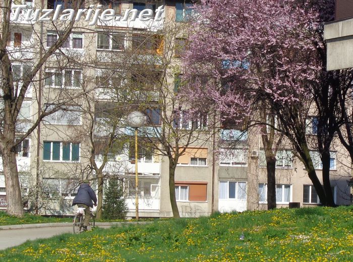 Tuzlarije