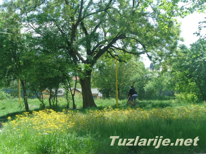 Tuzlarije
