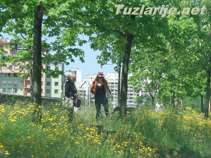 Tuzlarije