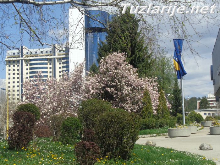 Tuzlarije