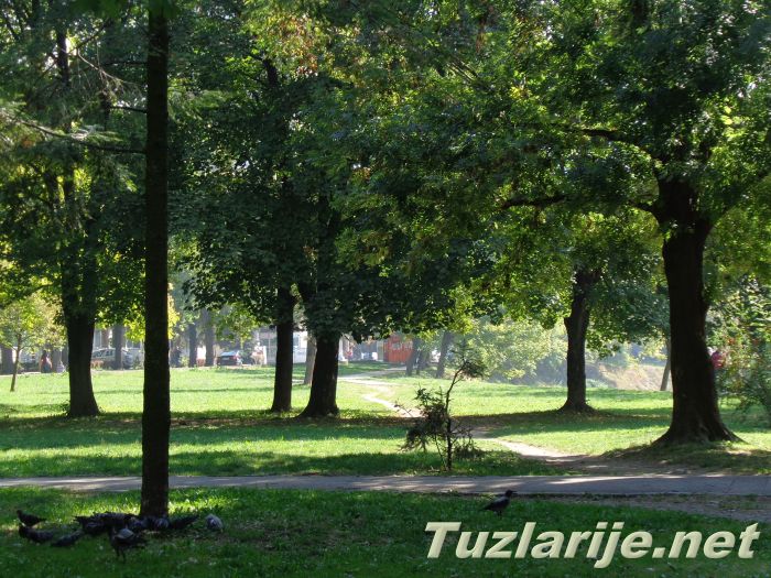 Tuzlarije