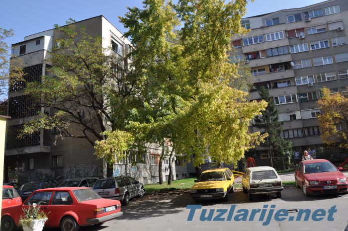 Tuzlarije