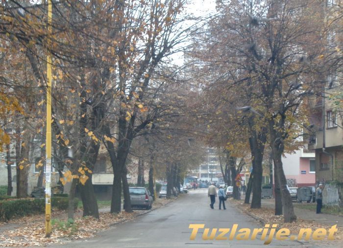 Tuzlarije