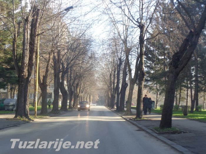 Tuzlarije