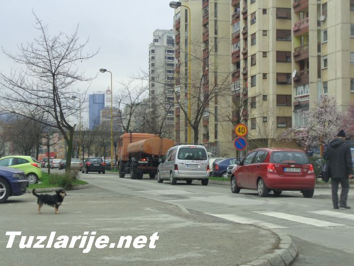 Tuzlarije