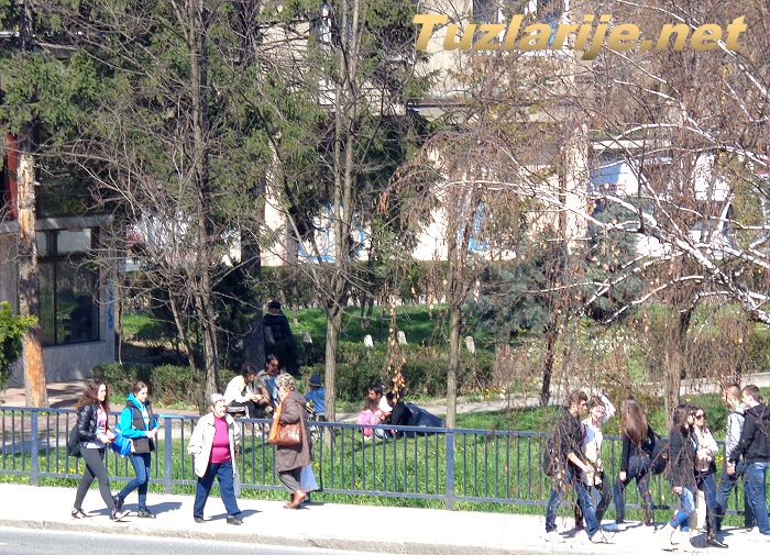 Tuzlarije