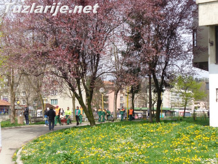 Tuzlarije