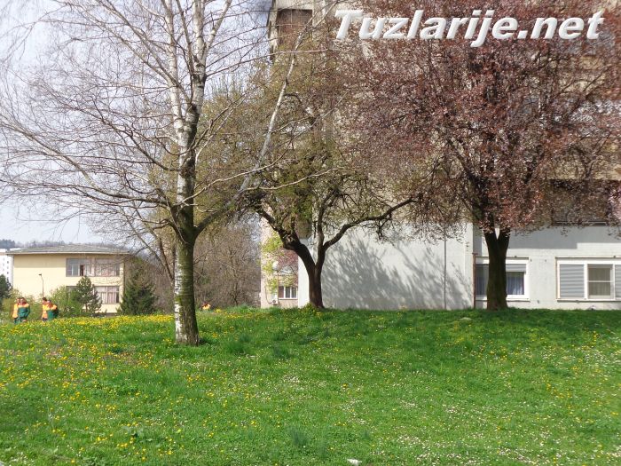Tuzlarije