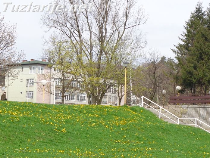 Tuzlarije