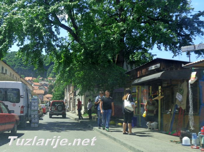 Tuzlarije