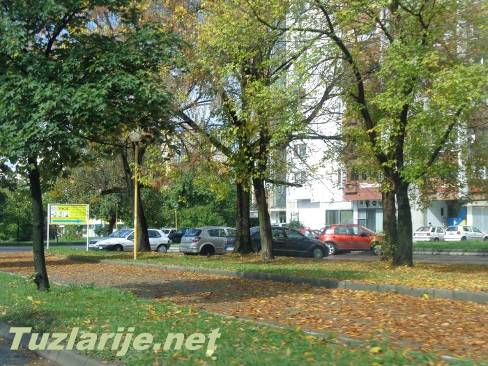 Tuzlarije