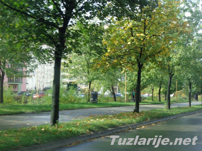 Tuzlarije