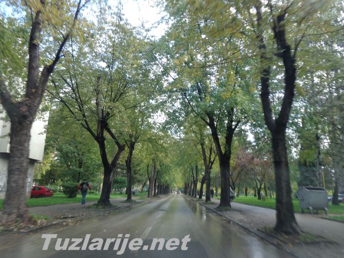 Tuzlarije