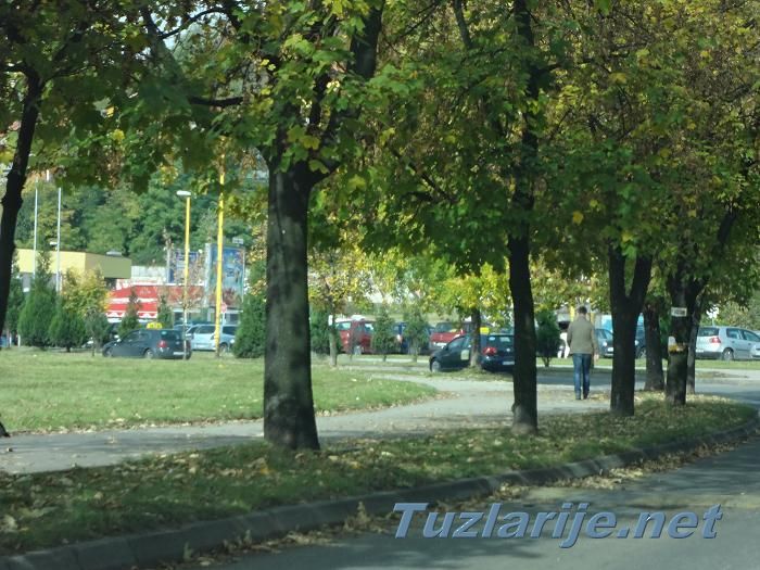 Tuzlarije