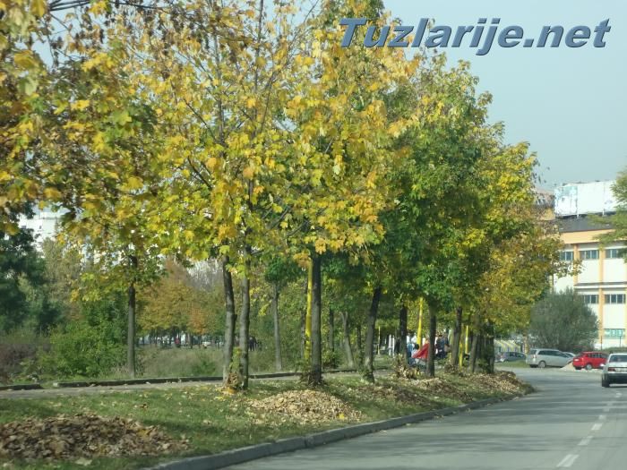 Tuzlarije