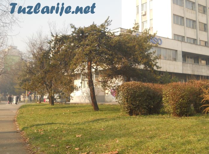 Tuzlarije
