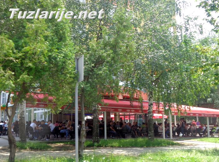 Tuzlarije