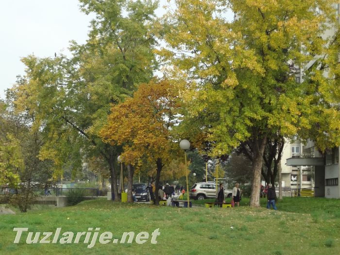 Tuzlarije