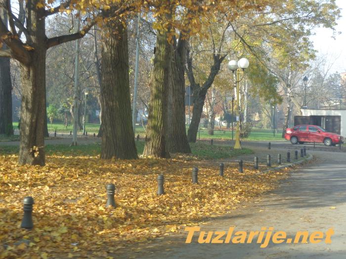 Tuzlarije