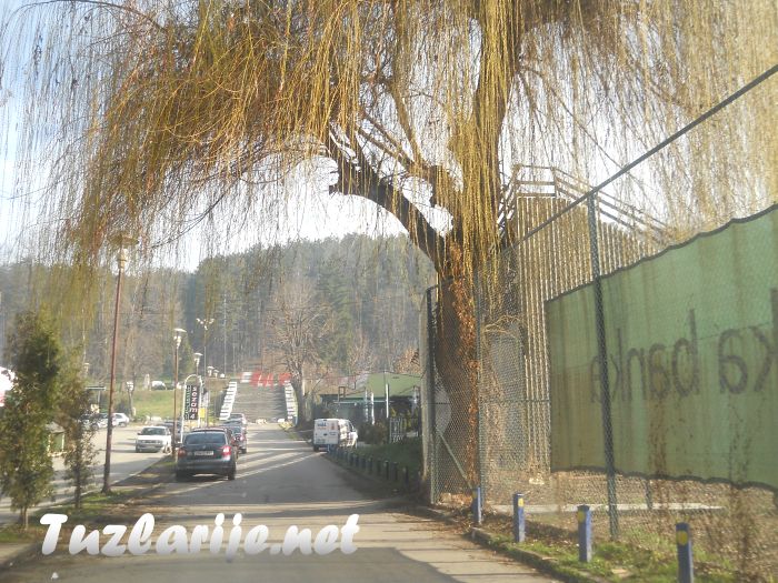 Tuzlarije